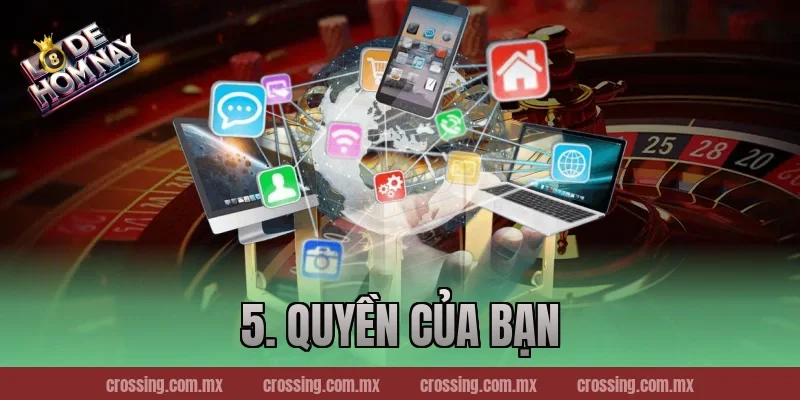 5. Quyền Của Bạn