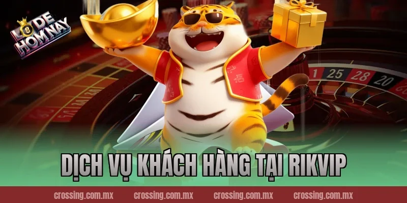 Dịch Vụ Khách Hàng Tại RikVip