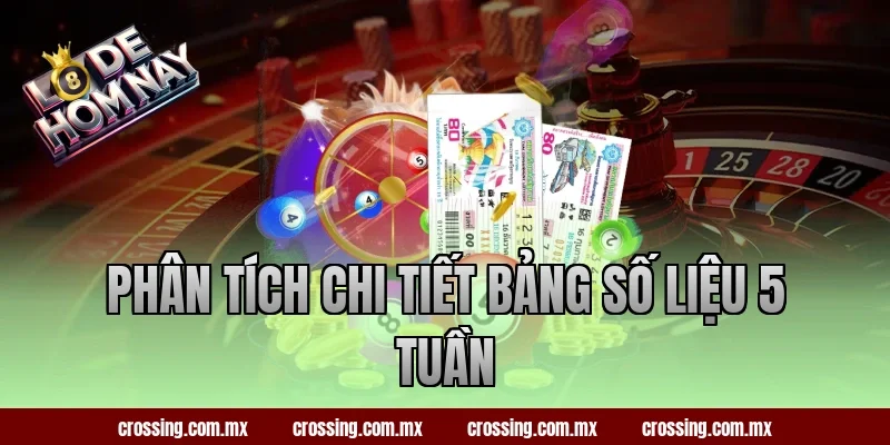 Phân tích chi tiết bảng số liệu 5 tuần